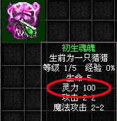 关于魂魄喂养的详述